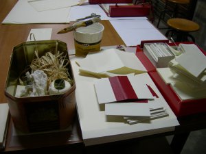 laboratori-primavera