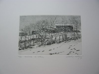 Cotugno Nevicata in collina 2007 r